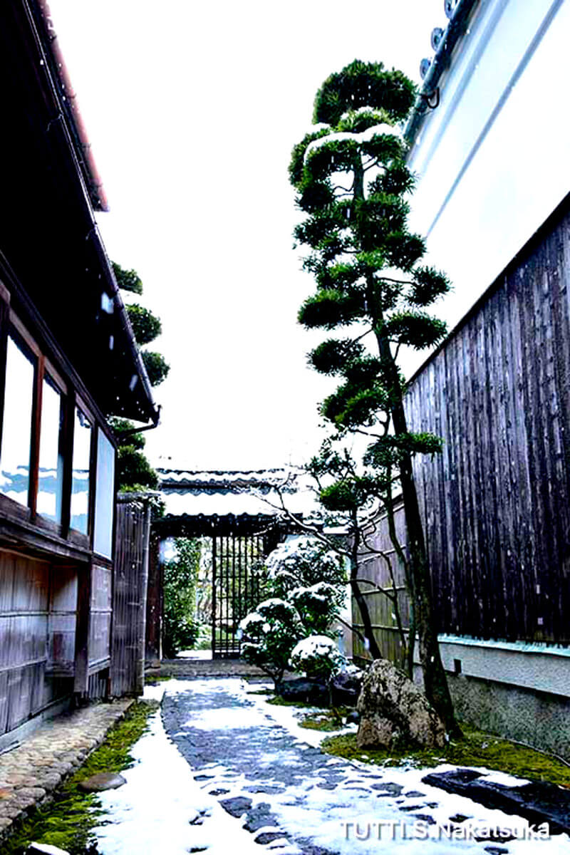 龍野・雪の淺井邸の写真